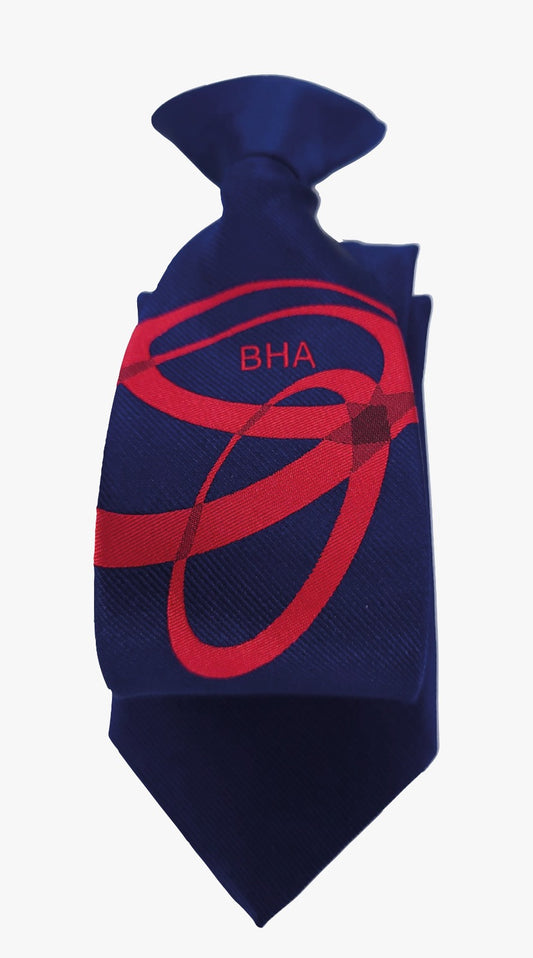 Product image for Bristnall Hall Academy House Tie - Red