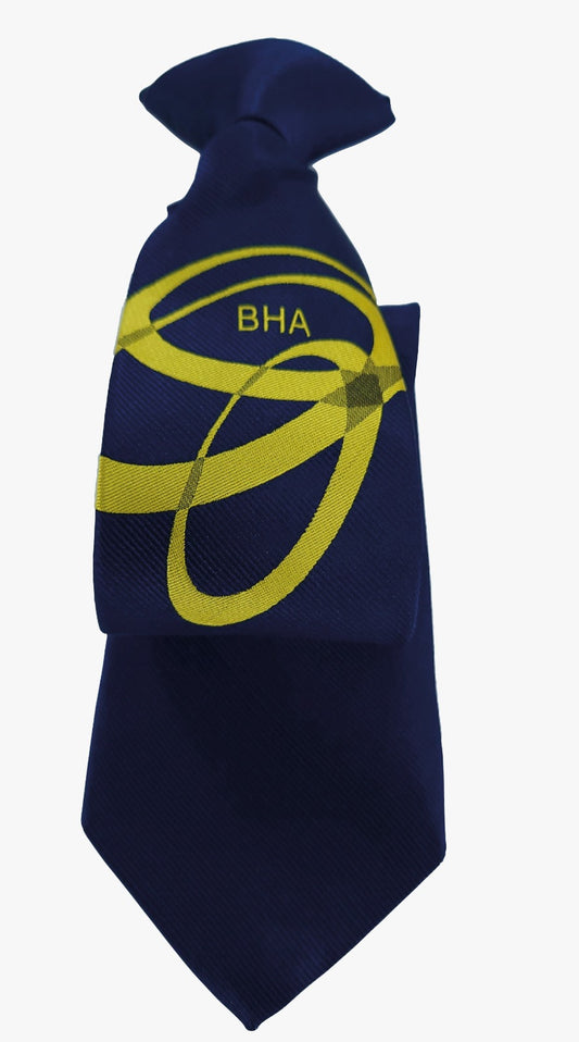 Product image for Bristnall Hall Academy House Tie - Yellow