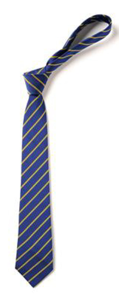 Product image for Buckton Fields Primary School Tie