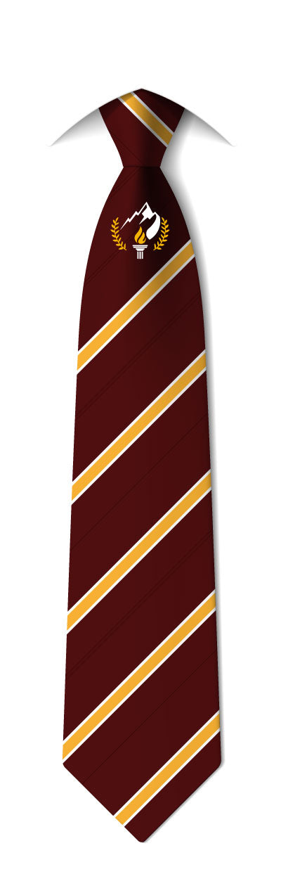 Product image for Olympus Windsor High Academy Tie