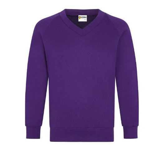 Product image for Purple V-Neck School Sweatshirt