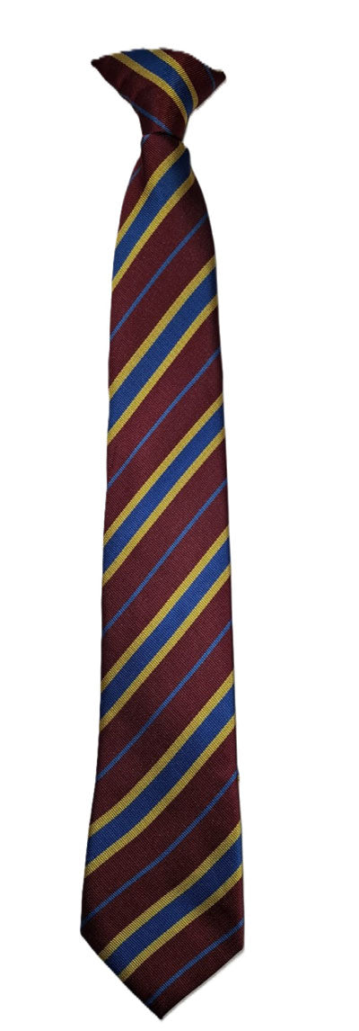 Product image for St John Wall Catholic School Tie-Blue /Gandhi