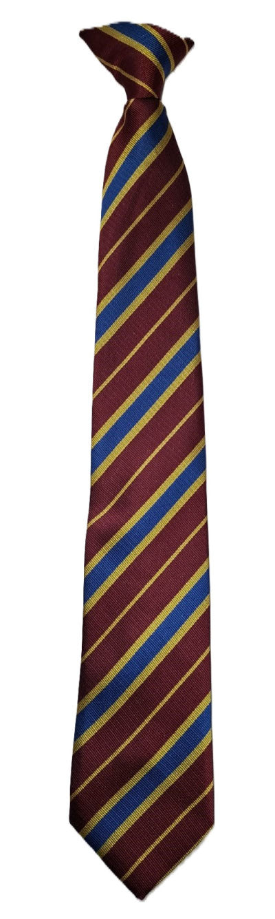 Product image for St John Wall Catholic School Tie-Gold/Mandela