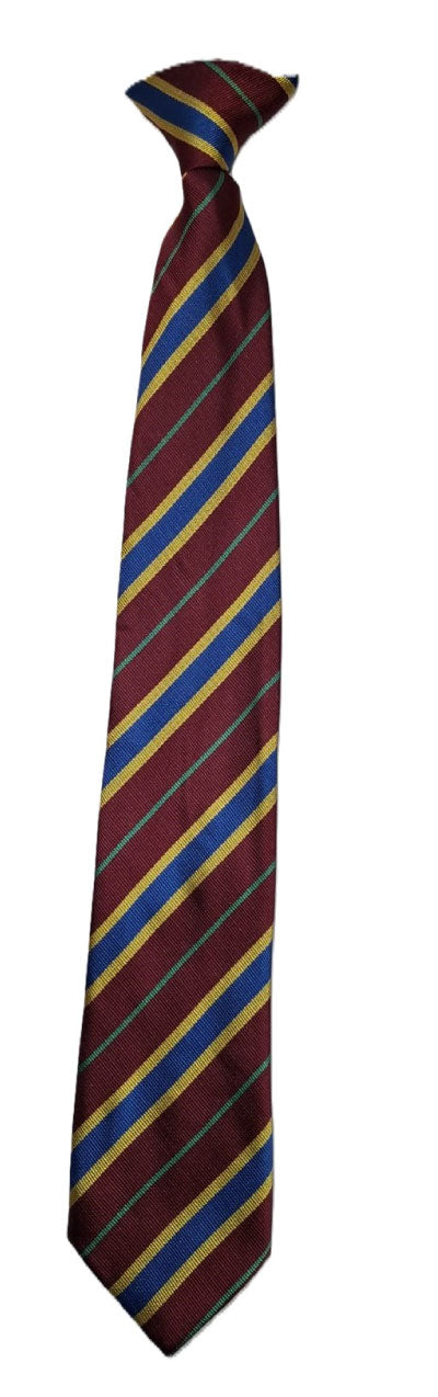 Product image for St John Wall Catholic School Tie-Green/Pankhurst