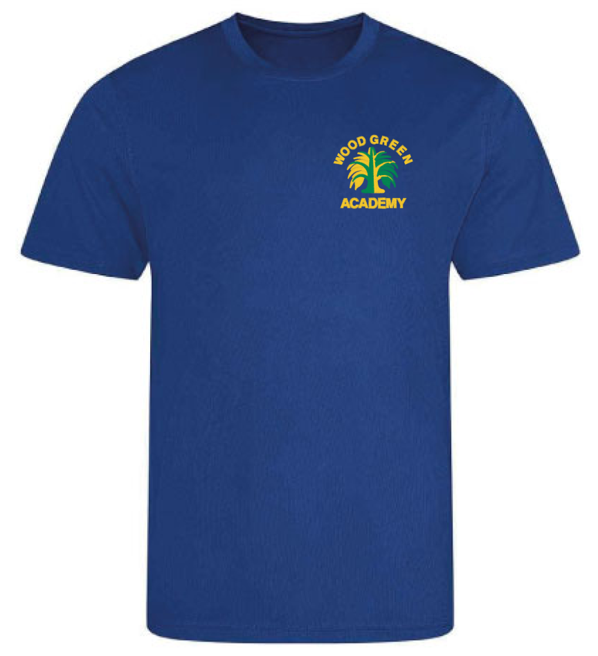 Product image for Wood Green Academy Dry Fit Tee T-Shirt royal