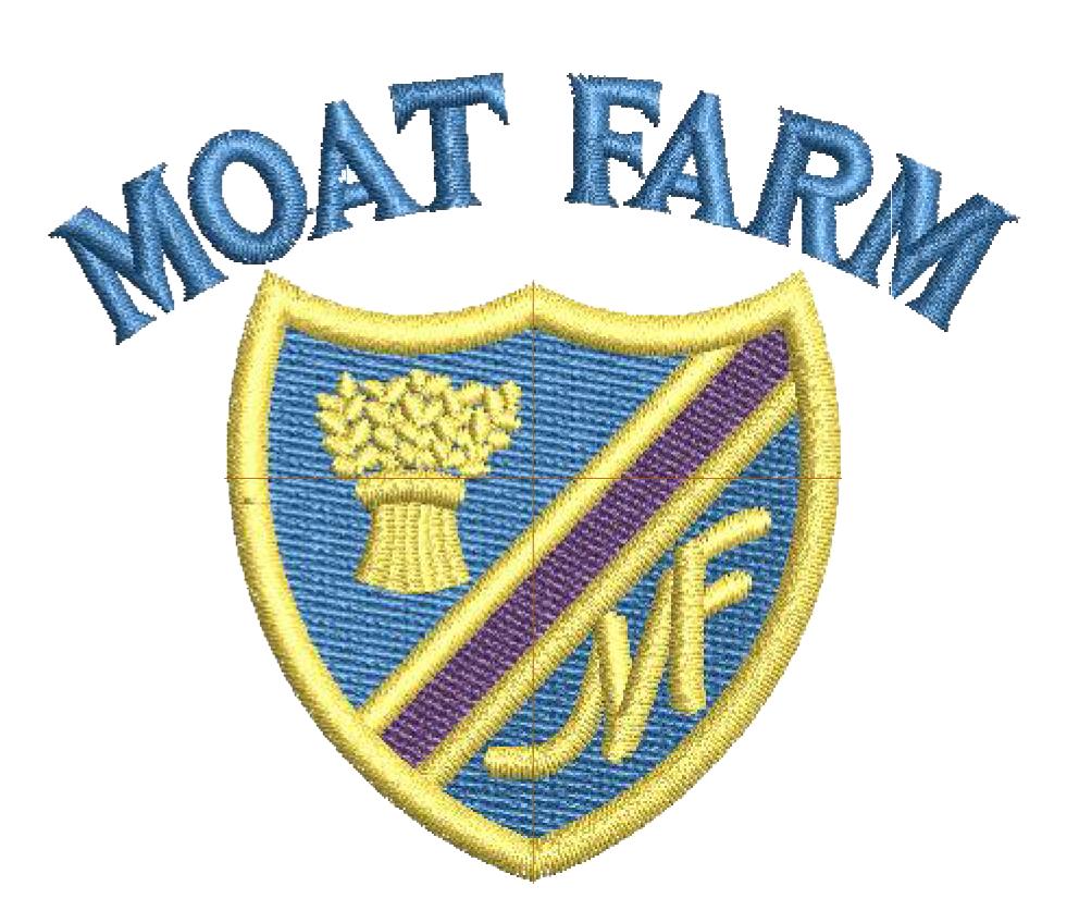 Moat Farm Infant School