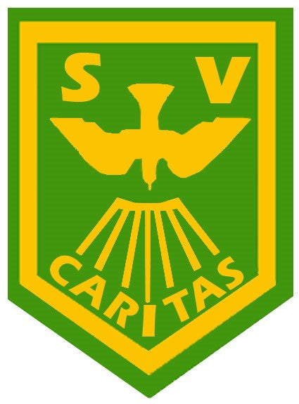 St Vincent's Catholic Primary School