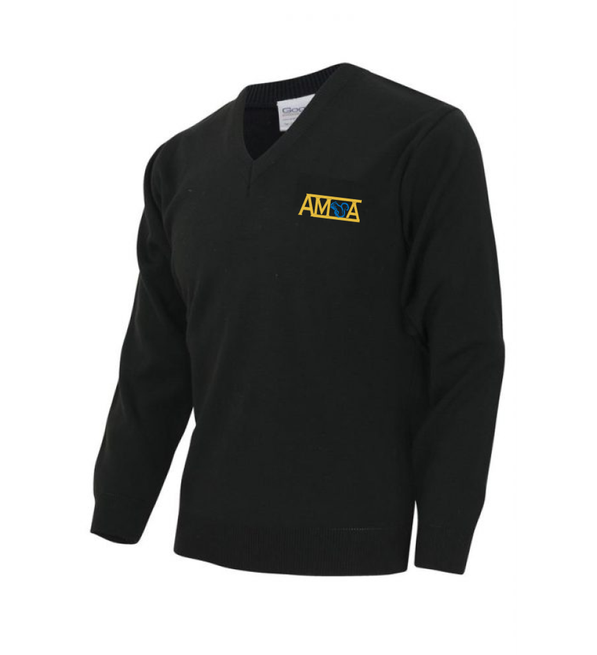 Product image for Aston Manor Academy School Jumper