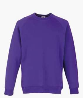 Product image for Crew Neck Purple School Sweatshirt 