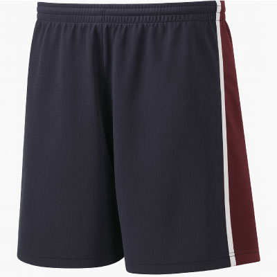 Product image for Navy/Maroon Short