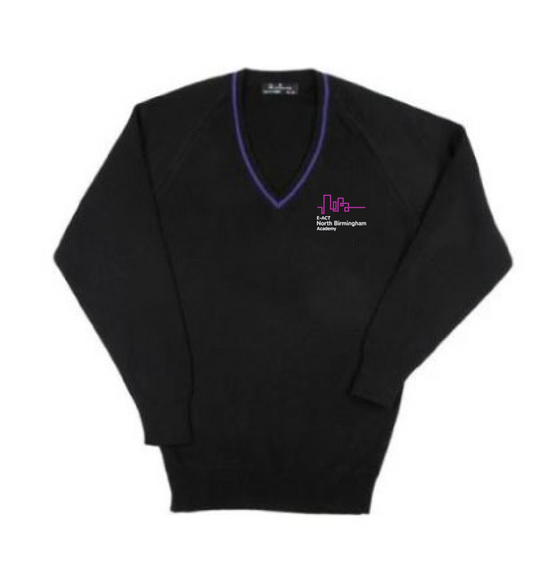 Product image for North Birmingham Academy Jumper