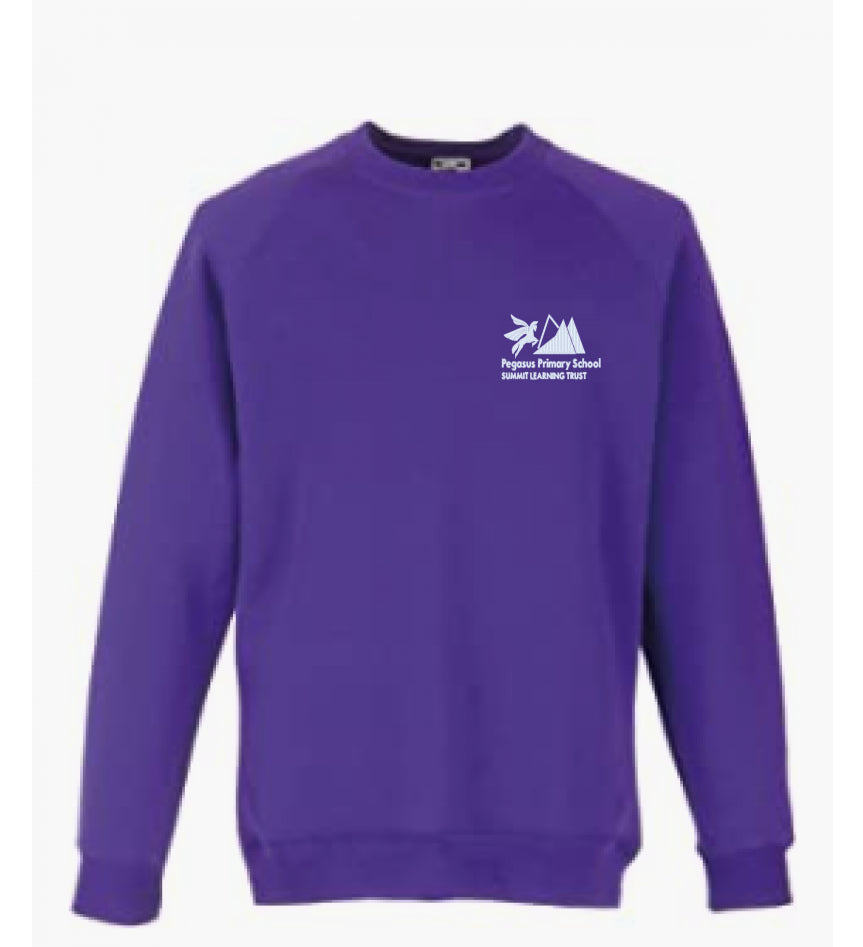 Product image for Pegasus Primary School Sweatshirt