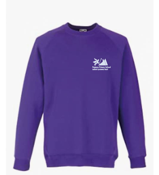 Product image for Pegasus Primary School Sweatshirt