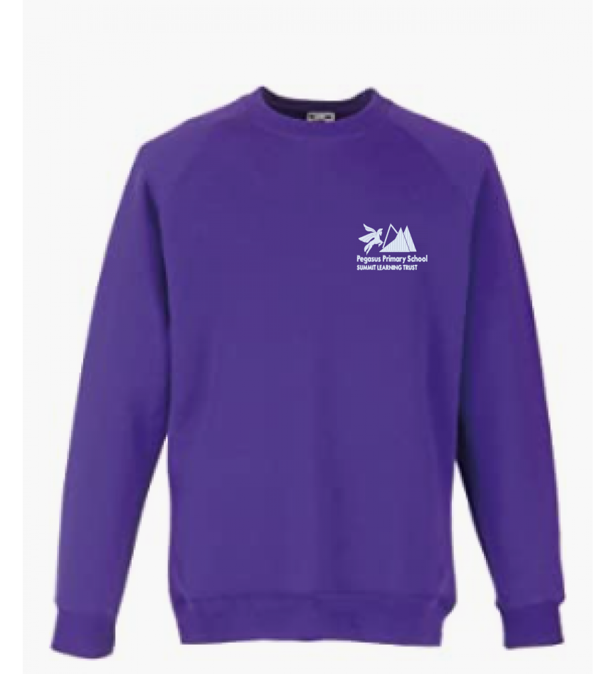 Product image for Pegasus Primary School Sweatshirt