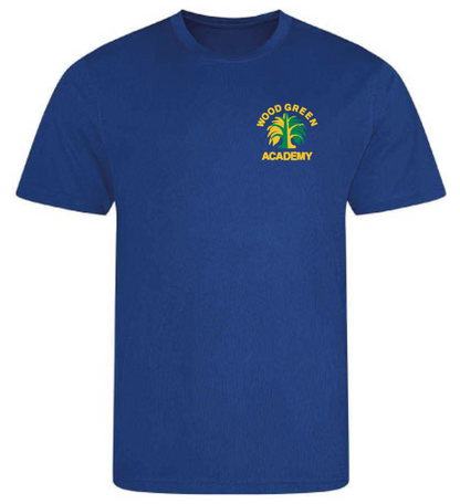 Product image for Wood Green Academy Dry Fit Tee T-Shirt royal